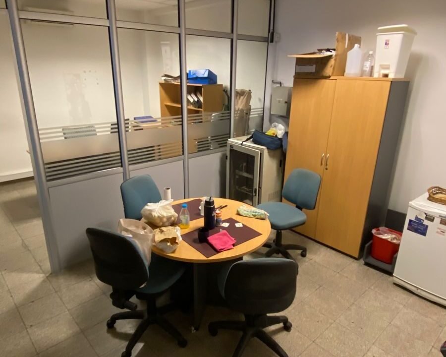 Imagen de WhatsApp 2024-04-04 a las 14.49.08_d2f93e9e