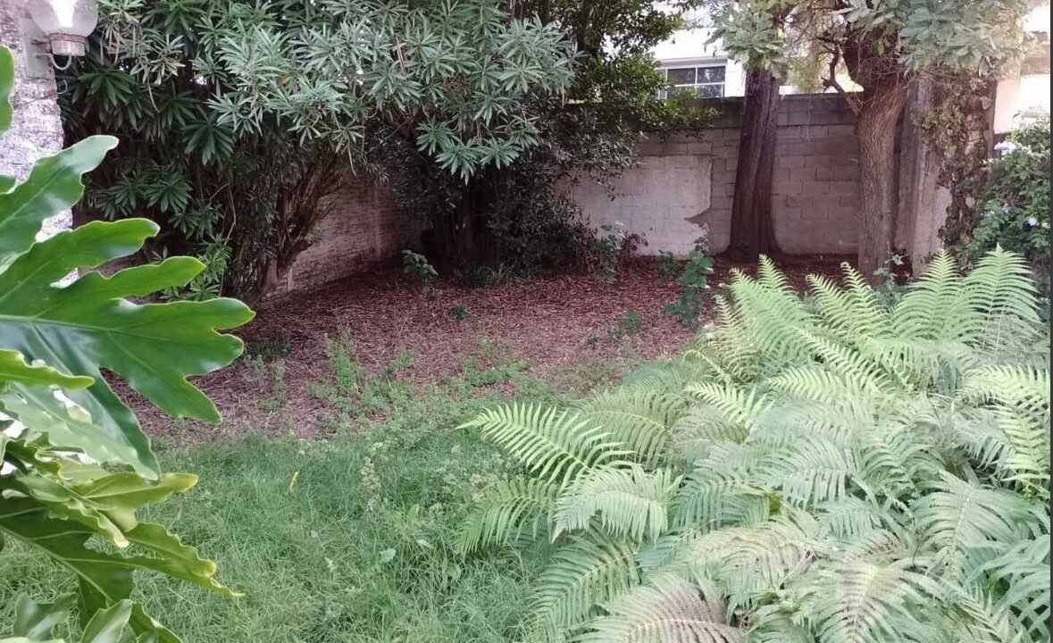 18c990c6-f3f1-45dd-8aee-c7b75a60bbcb